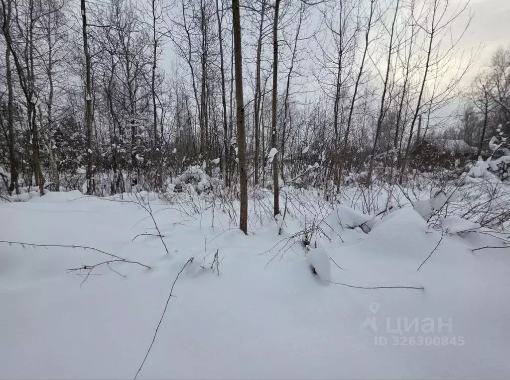 Участок в Московская область, Орехово-Зуевский городской округ, пос. ... - Фото 1