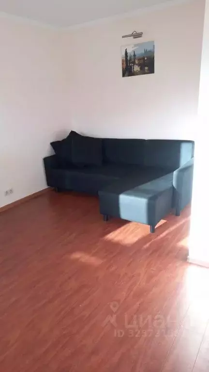 1-к кв. Московская область, Дмитровский муниципальный округ, Деденево ... - Фото 2