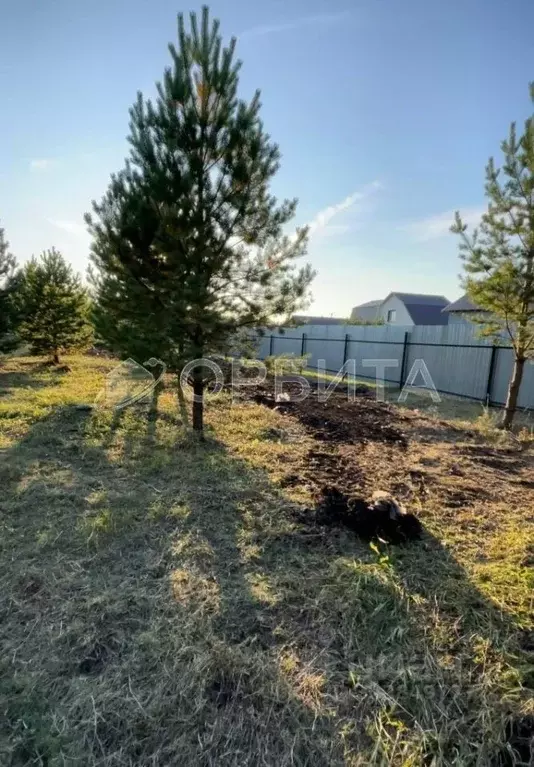 Участок в Тюменская область, Тюменский муниципальный округ, д. Ушакова ... - Фото 2