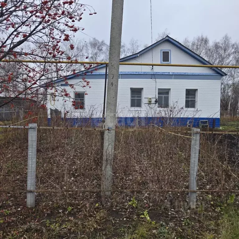 Дом в Мордовия, Старошайговский район, Лемдяйское с/пос, с. Лемдяй ул. ... - Фото 1