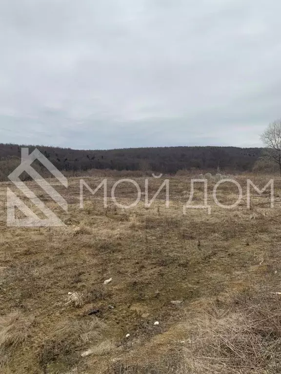 Участок в Сахалинская область, Корсаковский городской округ, с. ... - Фото 0