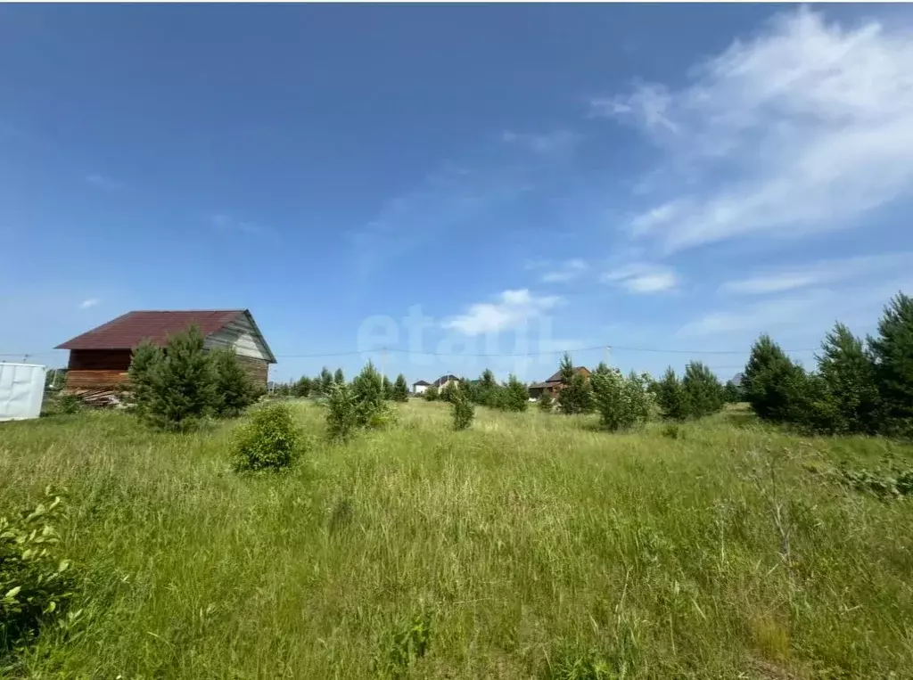 Участок в Курганская область, Шадринск Проектная ул., 21А (8.0 сот.) - Фото 1