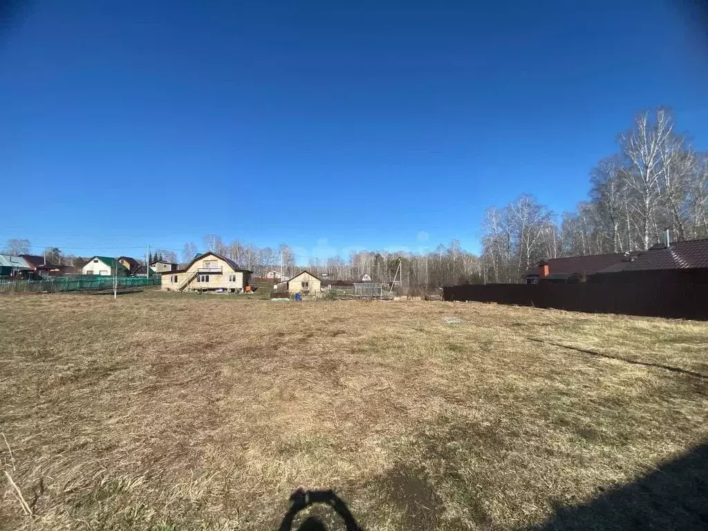 Участок в Новосибирская область, Новосибирский район, Барышевский ... - Фото 1