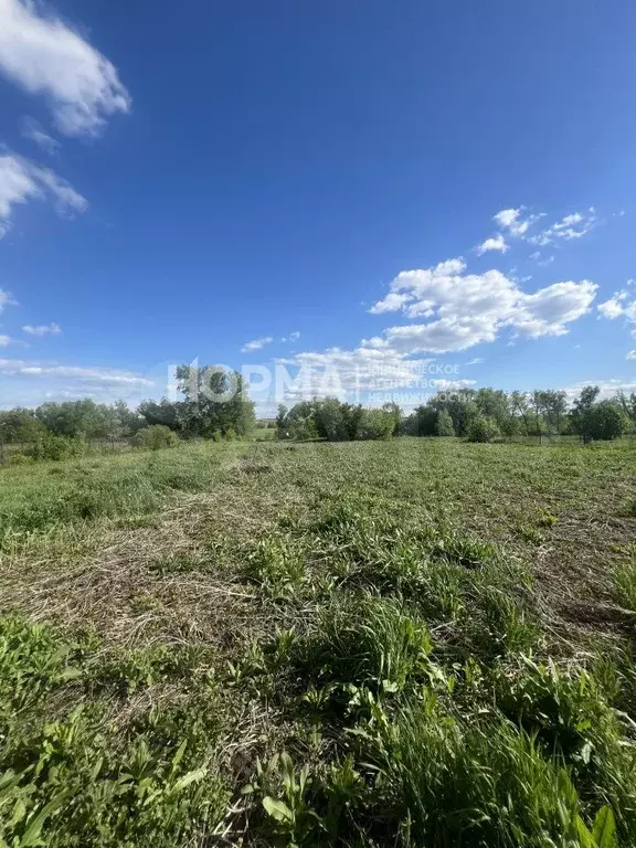 Участок 24,2 сот. (ИЖС) - Фото 1