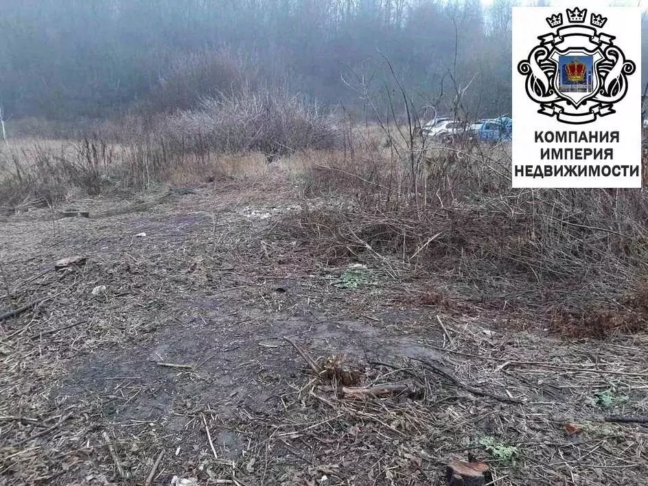 Участок в Белгородская область, Шебекинский муниципальный округ, с. ... - Фото 2