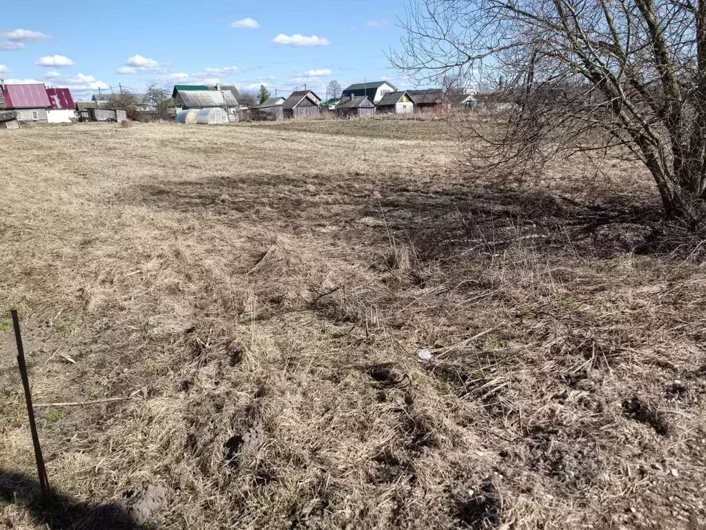 Участок в Ленинградская область, Волосовский район, Рабитицкое с/пос, ... - Фото 2