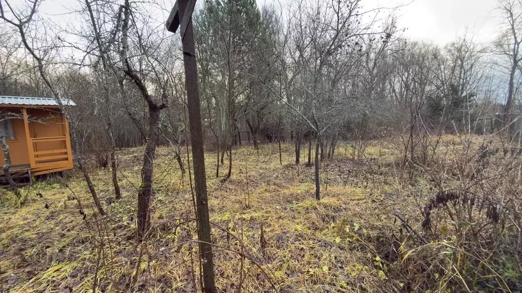 Дом в Тульская область, Заокский район, Страховское с/пос, Поленовское ... - Фото 2