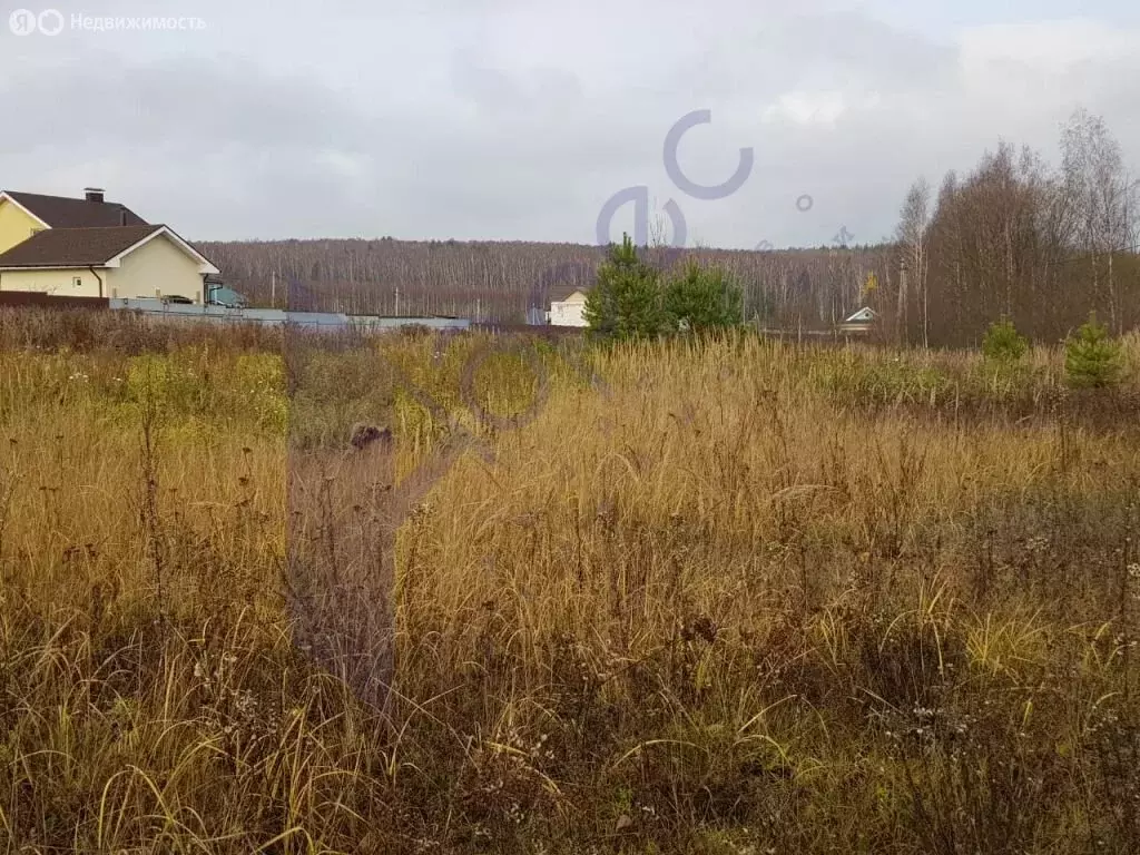 Участок в Нижегородская область, Дальнеконстантиновский муниципальный ... - Фото 1