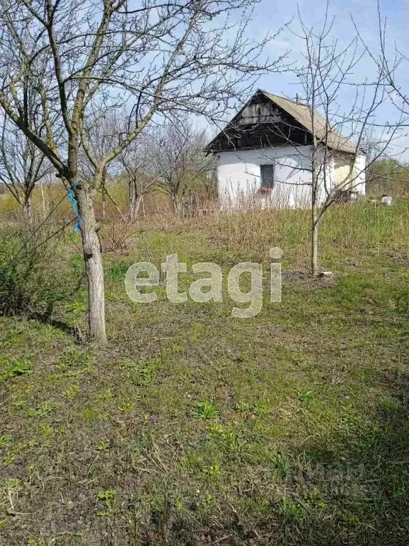 Дом в Белгородская область, Белгородский район, Хохловское с/пос, с. ... - Фото 0
