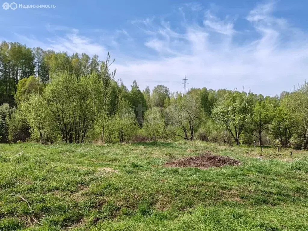 Участок в Майминский район, село Майма (7.8 м) - Фото 2