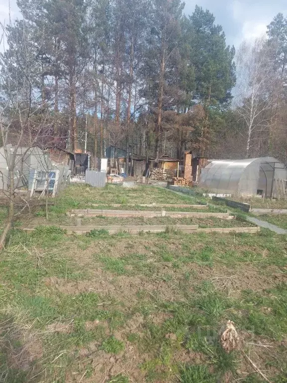 Участок в Свердловская область, Екатеринбург ССК Рассвет-1 тер., 53 ... - Фото 2