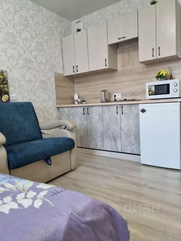 Студия Новосибирская область, Новосибирск ул. Виктора Уса, 7 (25.0 м) - Фото 1
