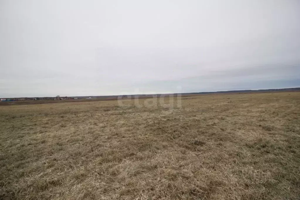 Участок в Калужская область, Дзержинский муниципальный округ, с. ... - Фото 2