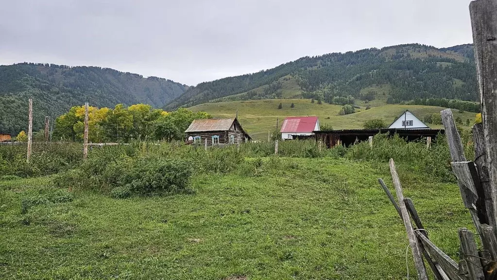 Участок в Алтай, Усть-Коксинский район, с. Баштала Садовая ул. (16.13 ... - Фото 2