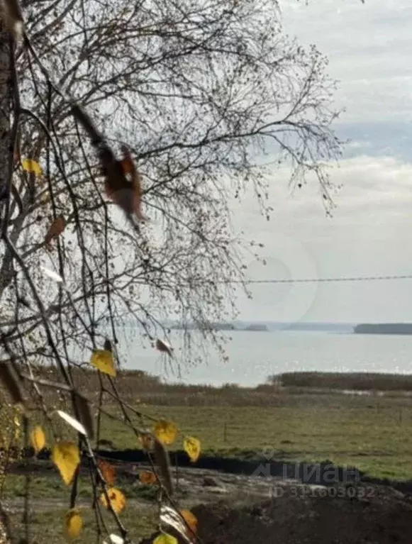 Участок в Новосибирская область, Ордынский район, с. Новопичугово  ... - Фото 0