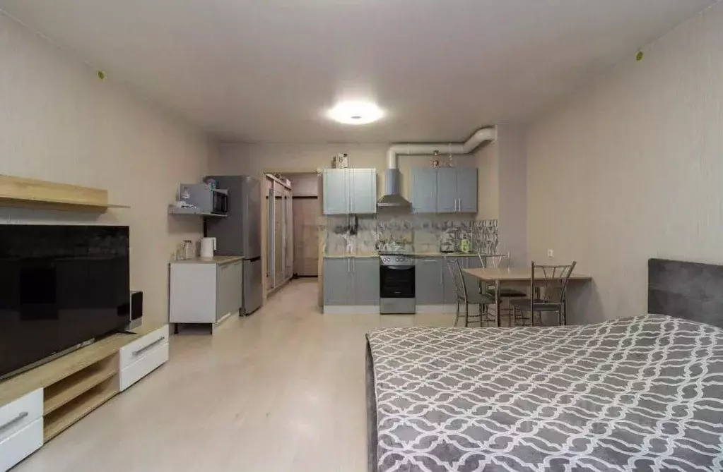 Студия Красноярский край, Красноярск ул. Алексеева, 3 (38.0 м) - Фото 2