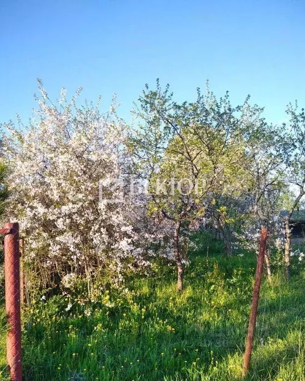 Участок в Костромская область, Костромской район, Середняковское ... - Фото 0