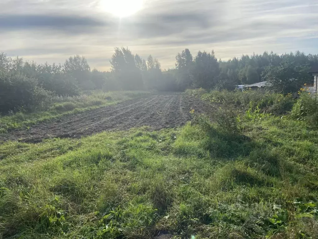 Участок в Московская область, Домодедово городской округ, д. Одинцово ... - Фото 1