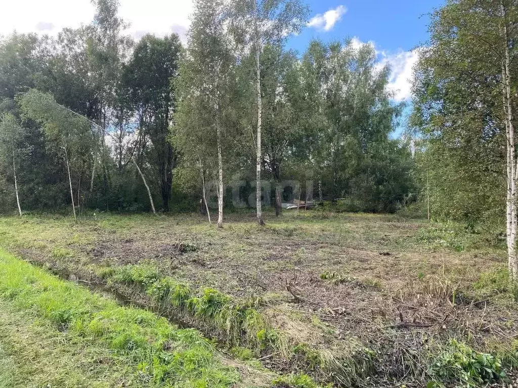 Участок в Московская область, Клин городской округ, Борщево СНТ ул. ... - Фото 1