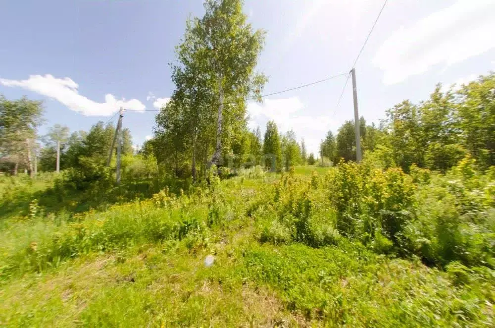 Участок в Курганская область, Шадринск ул. Соболева (10.0 сот.) - Фото 1