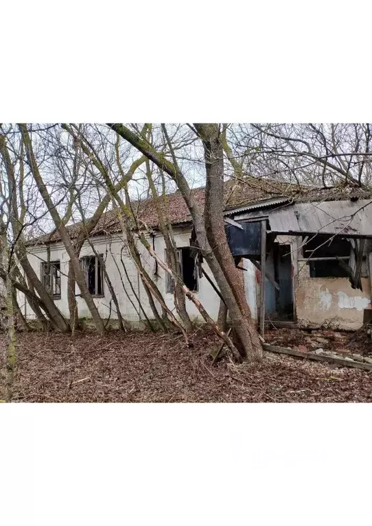 Дом в Курская область, Советский район, Нижнеграйворонский сельсовет, ... - Фото 1