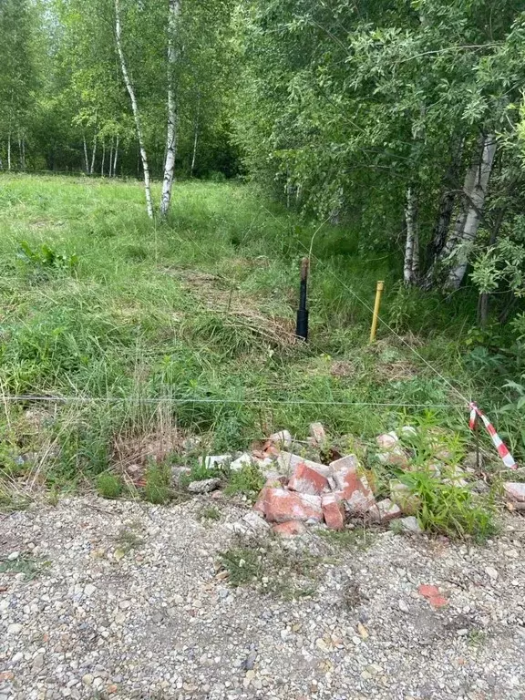 Участок в Пензенская область, Пенза Камыши СДТ, 235 (12.0 сот.) - Фото 2
