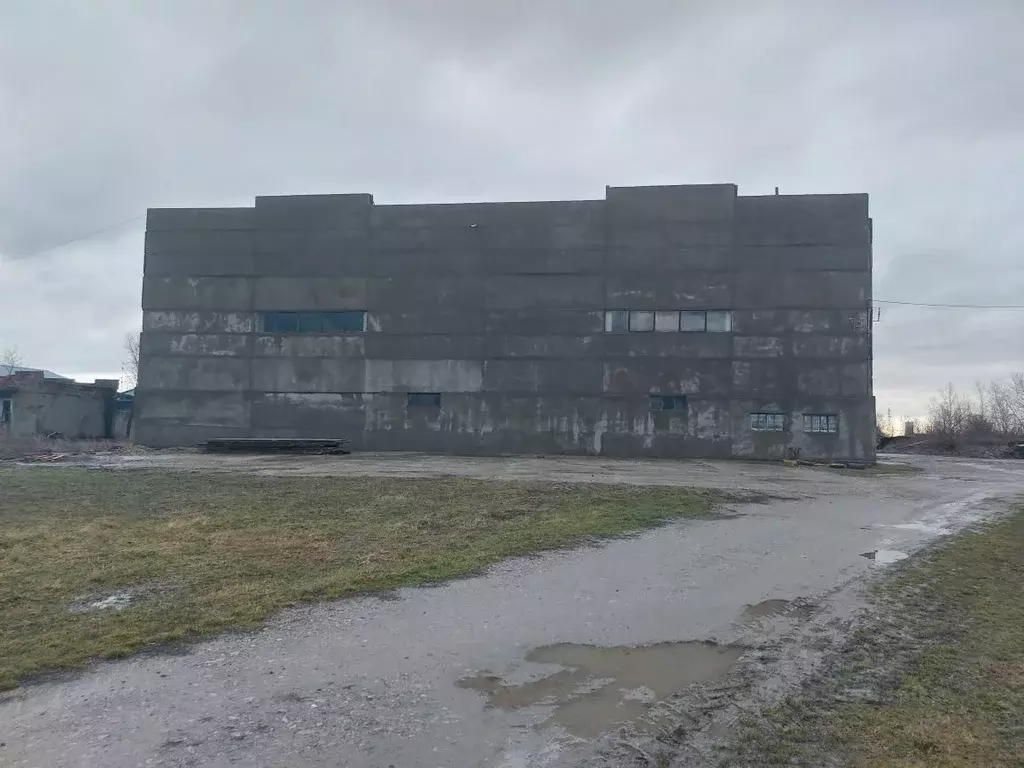 Помещение свободного назначения в Краснодарский край, Северская ст-ца ... - Фото 0