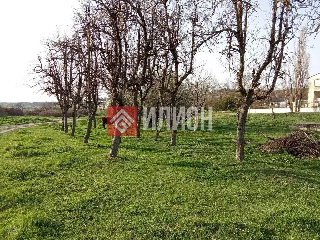 Участок в Крым, Бахчисарайский район, с. Долинное ул. Ленина, 46 (10.0 ... - Фото 2