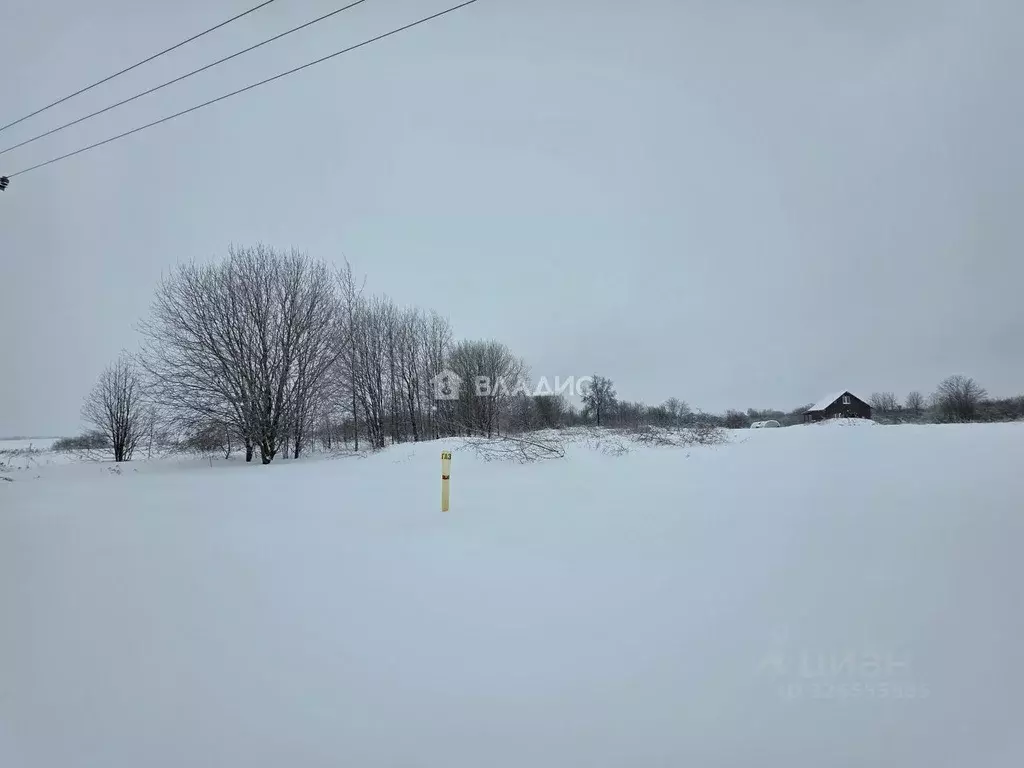 Участок в Владимирская область, Суздальский район, Боголюбовское ... - Фото 1
