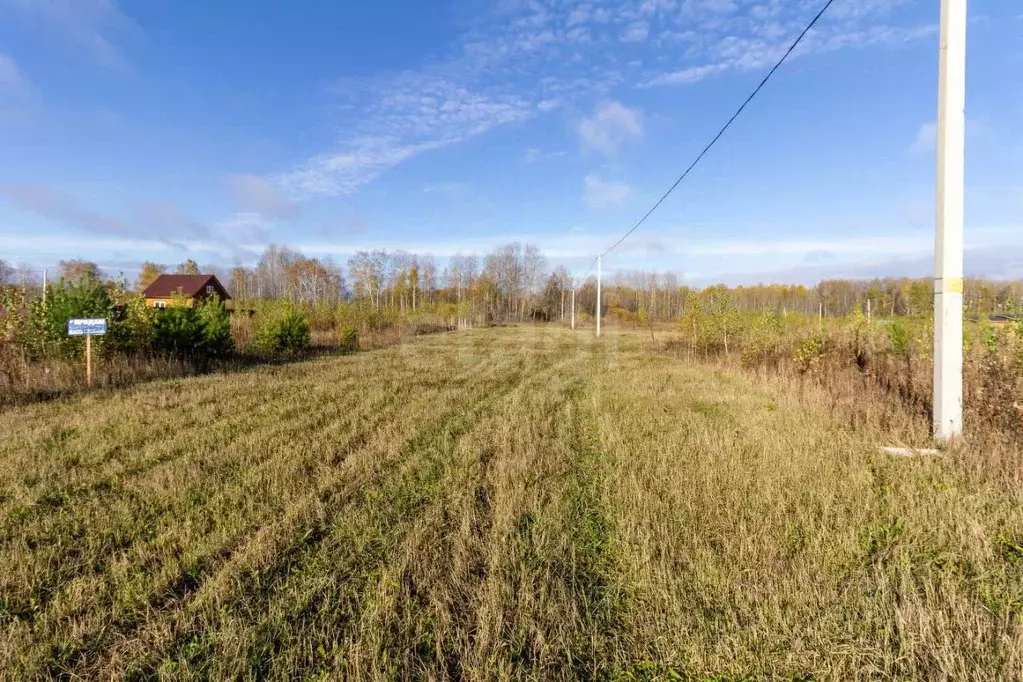 Участок в Тюменская область, Тюменский муниципальный округ, с. Кулига  ... - Фото 1
