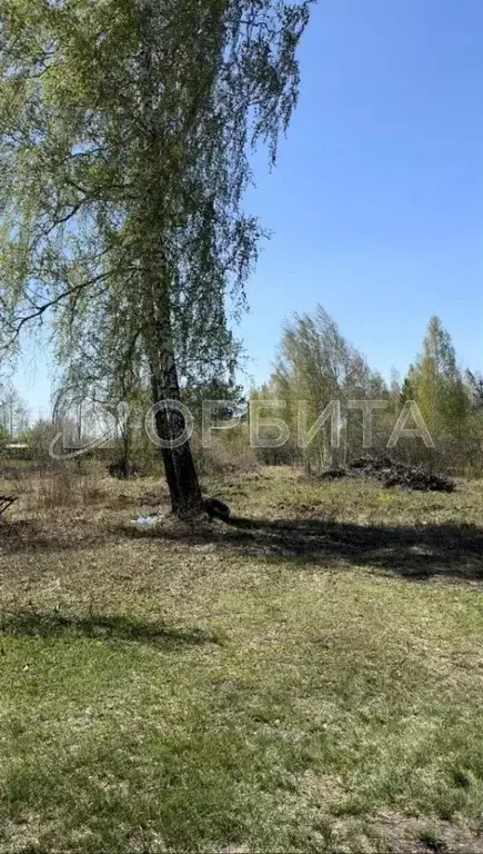 участок в тюменская область, тюменский район, фазенда снт (9.65 сот.) - Фото 1