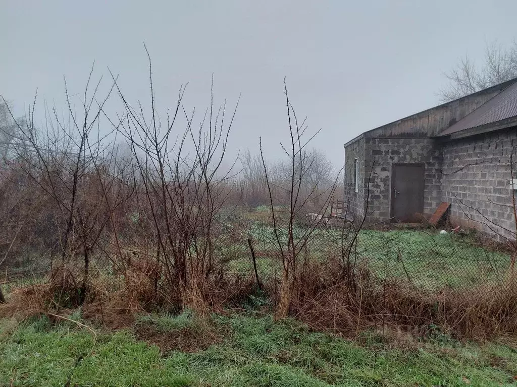 участок в ростовская область, неклиновский район, с. синявское (20.0 . - Фото 0