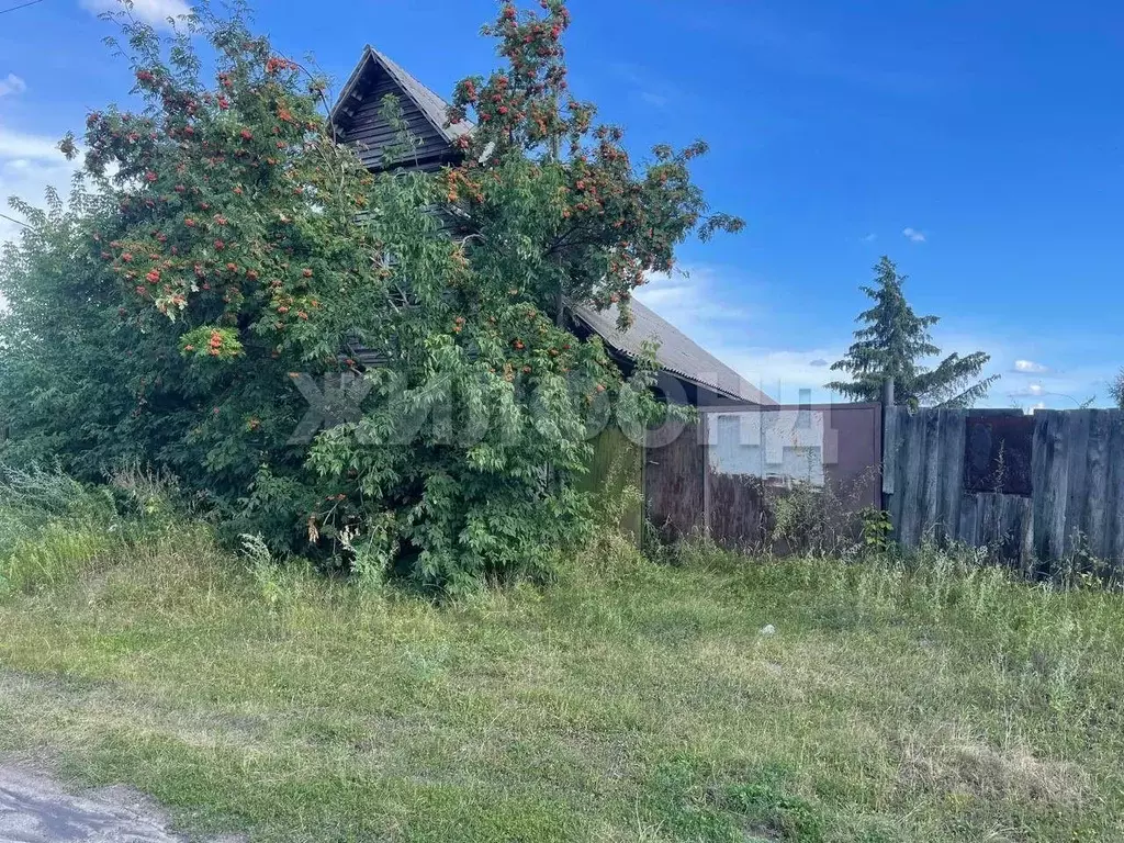 Дом в Новосибирская область, Ордынский район, пос. Чернаково ... - Фото 1