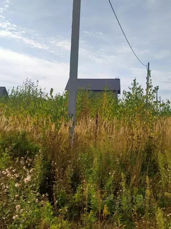 Участок в Марий Эл, Медведевский район, Руэмское с/пос, д. Нолька ул. ... - Фото 2