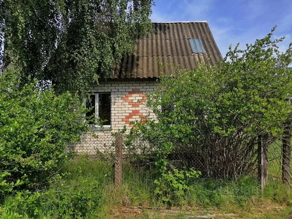 Дом в Псковская область, Псковский район, Ершовская волость, ... - Фото 0