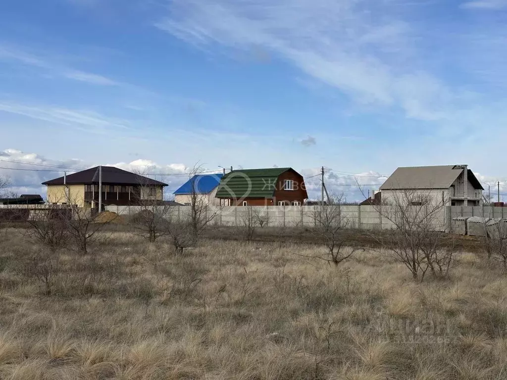 Участок в Волгоградская область, Городищенский район, Новонадеждинское ... - Фото 0