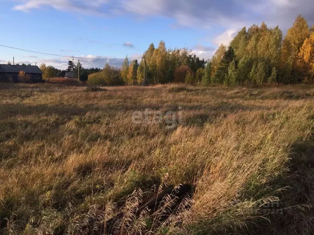 Участок в Свердловская область, Нижний Тагил Ольховский СТ, ул. ... - Фото 0