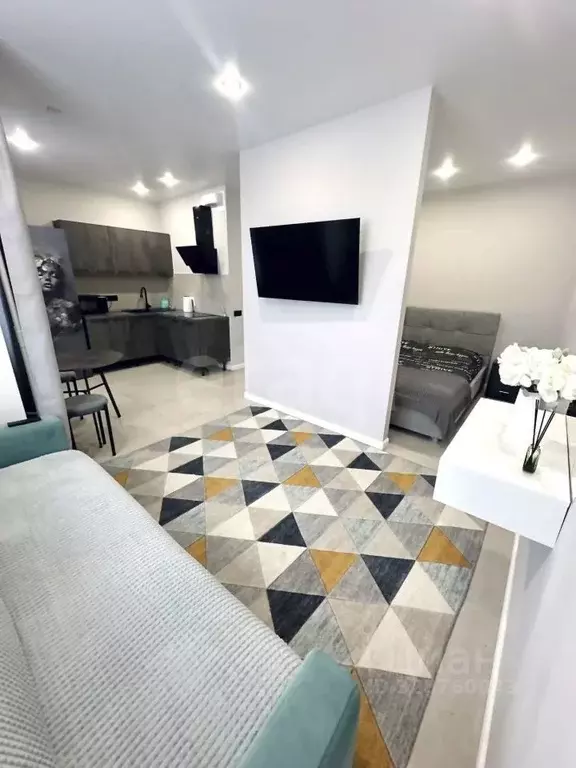 Студия Московская область, Старая Купавна Богородский городской округ, ... - Фото 1