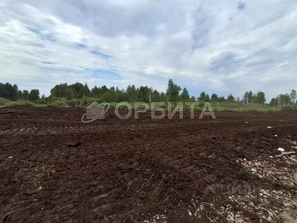 Участок в Тюменская область, Тюмень Велижанский тракт, 9-й км (50.0 ... - Фото 2