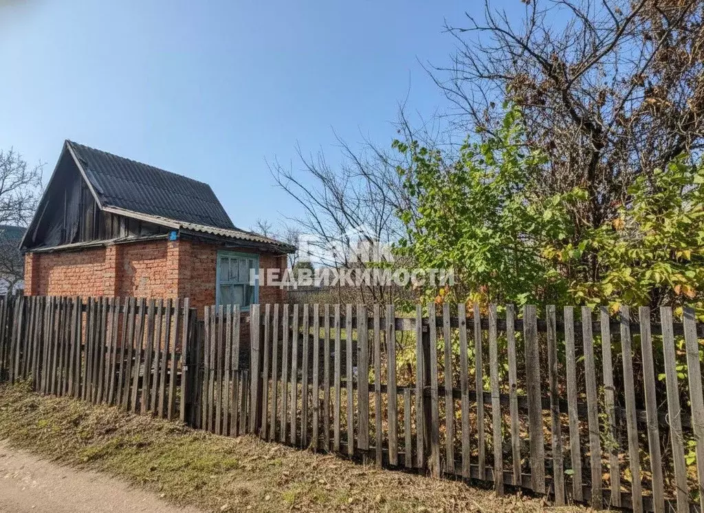 Участок в Саратовская область, Балаковский район, Быково-Отрогское ... - Фото 2