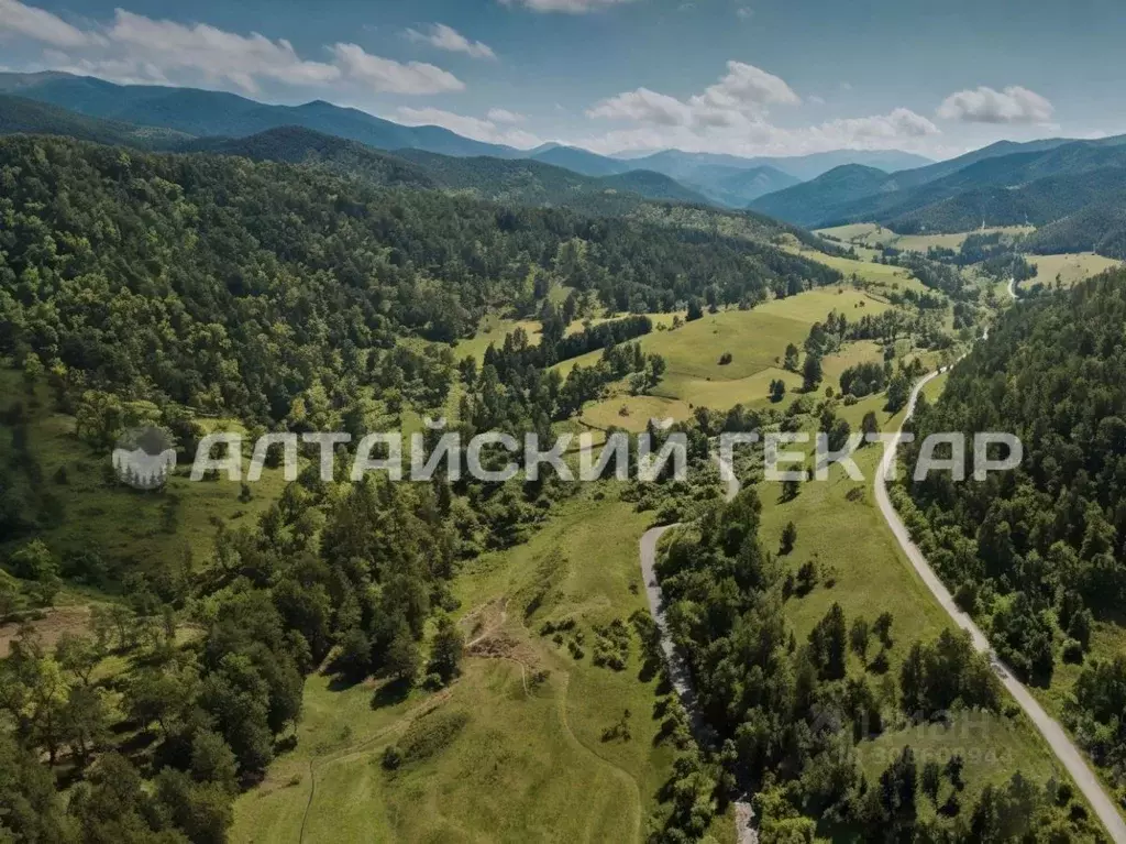 Участок в Алтай, Майминский район, с. Александровка Центральная ул., ... - Фото 0