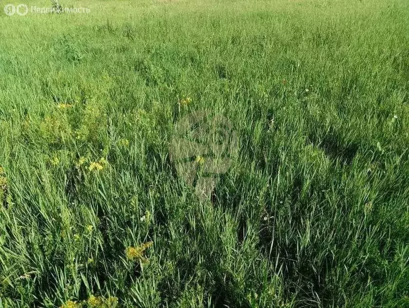 Участок в село Архангельское (40 м) - Фото 1