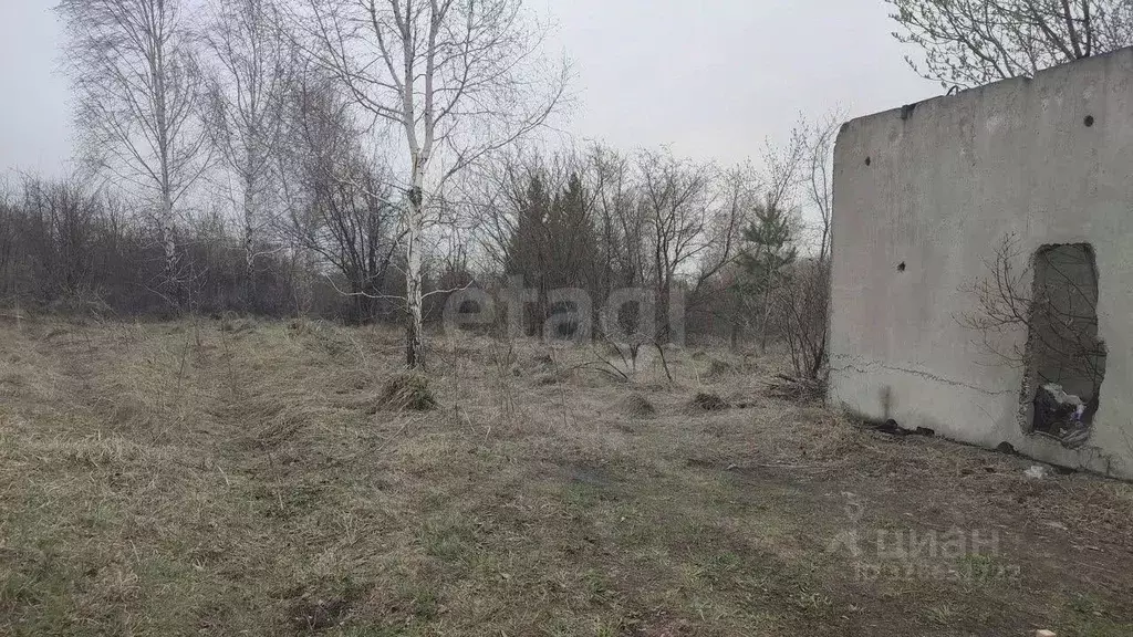 Участок в Алтайский край, Первомайский район, Надежда СНТ ул. 16-я, ... - Фото 1