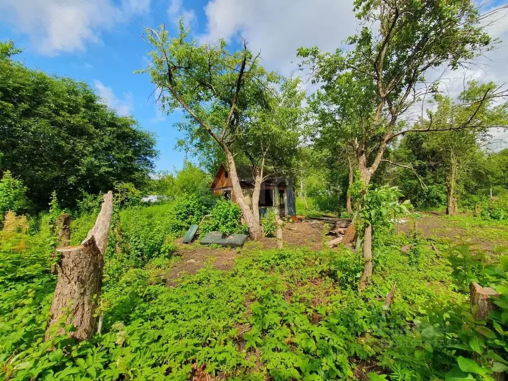 Участок в Брянская область, Брянск Коммунальник садовое общество,  ... - Фото 1