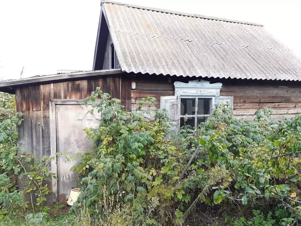 Дом в Хакасия, Абакан Самохвал дачный район,  (15 м) - Фото 1