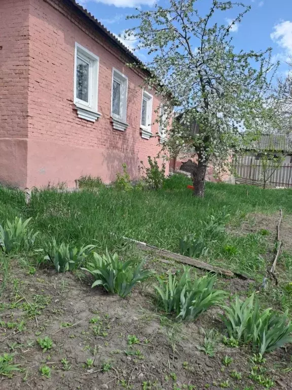 Дом в Белгородская область, Губкин Вишневая ул., 13 (53 м) - Фото 1