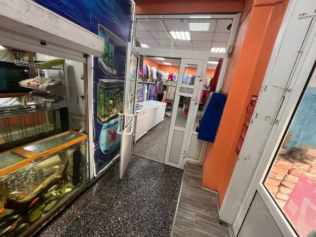 Помещение свободного назначения в Иркутская область, Черемхово ул. ... - Фото 2