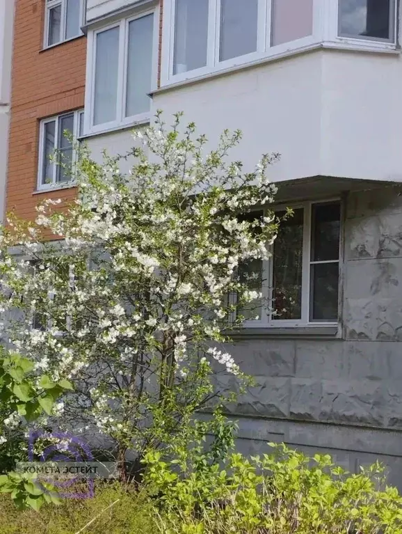 3-к кв. Москва, Москва, Московский г. Град Московский мкр, ул. ... - Фото 2