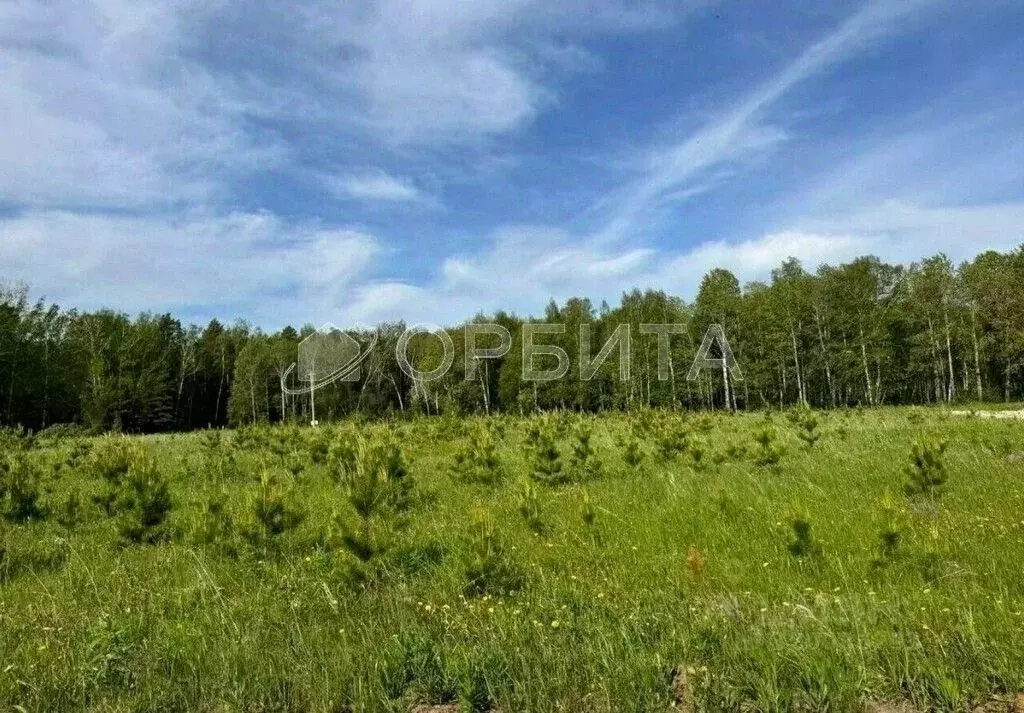 Участок в Тюменская область, Тюменский район, д. Ушакова  (7.0 сот.) - Фото 1
