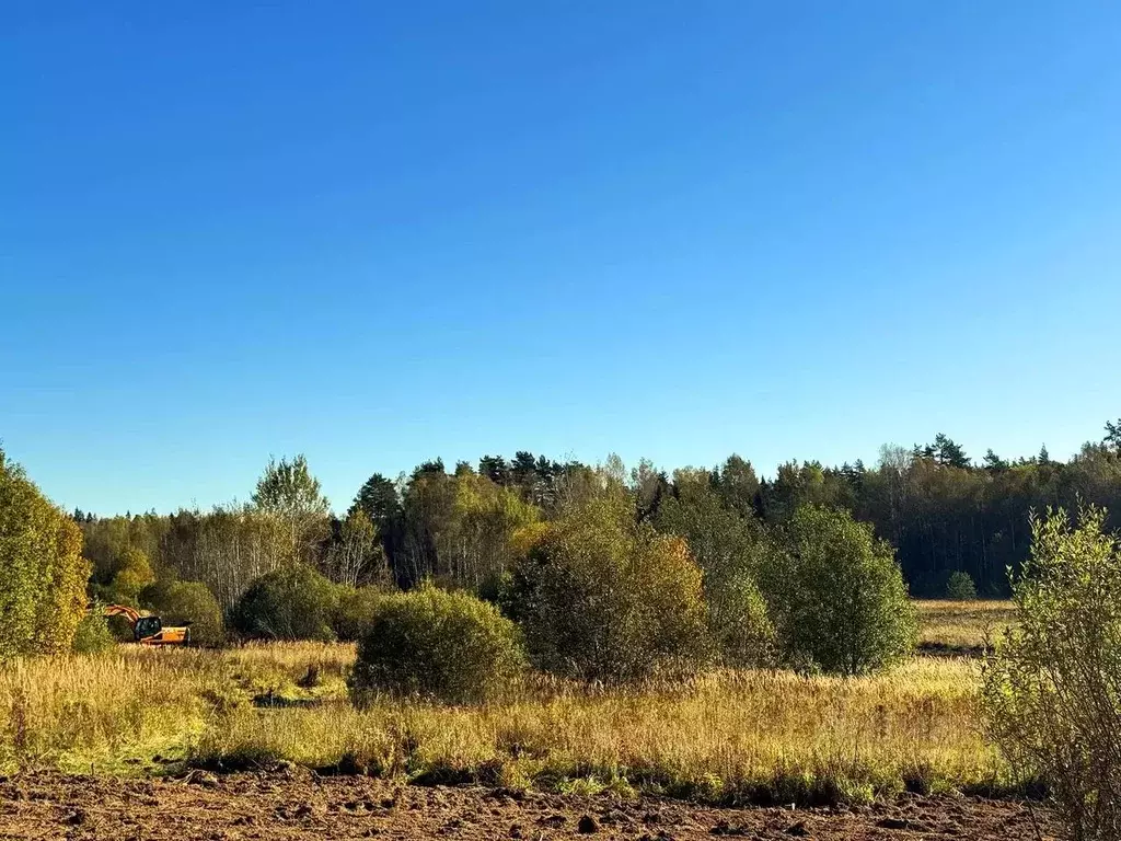 Участок в Московская область, Дмитровский муниципальный округ, Ерыково ... - Фото 2